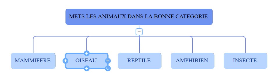 classification animaux